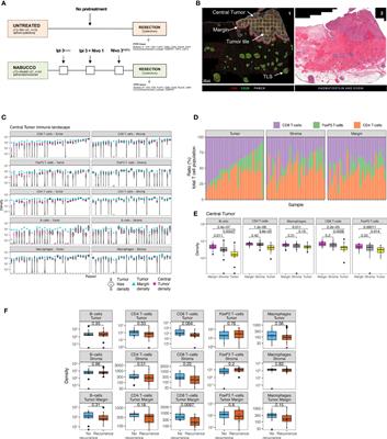 The Tumor Immune Landscape and Architecture of Tertiary Lymphoid Structures in Urothelial Cancer